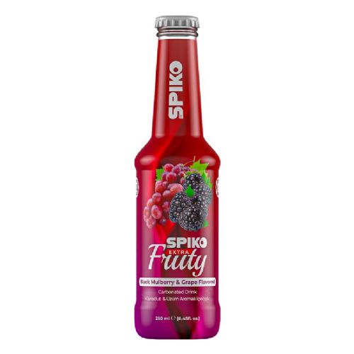 SPIKO FRUTY KARADUT&ÜZÜM AROMALI 250 ML